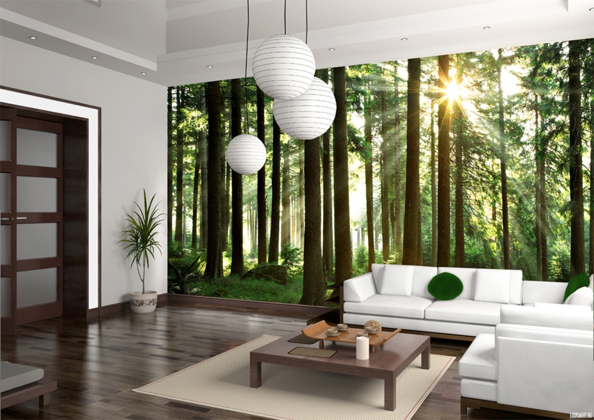 3d custom made wallpaper for home walls. Trees and sun rays photomural wallpaper in the living room